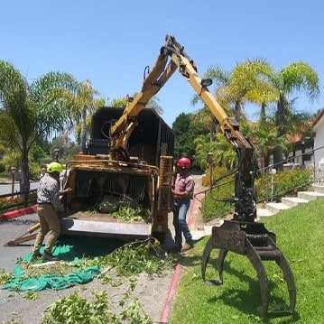North County Mission Tree Services, LLC