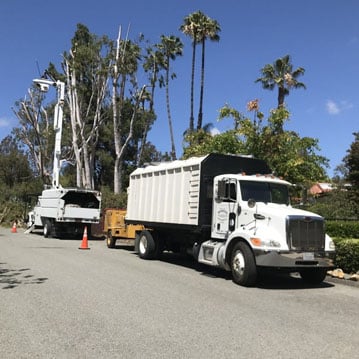 North County Mission Tree Services, LLC